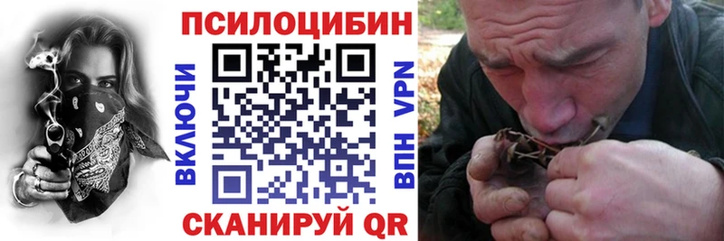 Галлюциногенные грибы мухоморы  купить наркоту  Салаир 